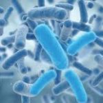 infectious-disease