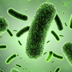 Certain Antibiotic-Resistant Infections On the Rise, New Research Shows