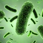 Infections