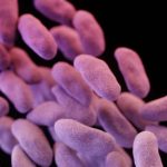 Superbug Infections Threaten India Cancer Patients