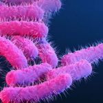 A Superbug STD is on the Loose in Australia