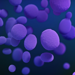 Fluconazole-Resistant