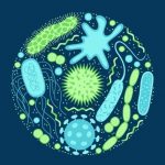 U.S. Healthcare Costs of Six Resistant Pathogens