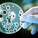 microbial resistance
