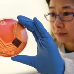 Time to fix the business model for new antibiotics