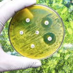 Why Is Antimicrobial Resistance Not Getting Much Attention from Biopharma? | BioSpace