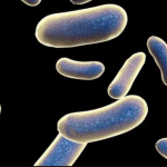 Drug-Resistant Infections